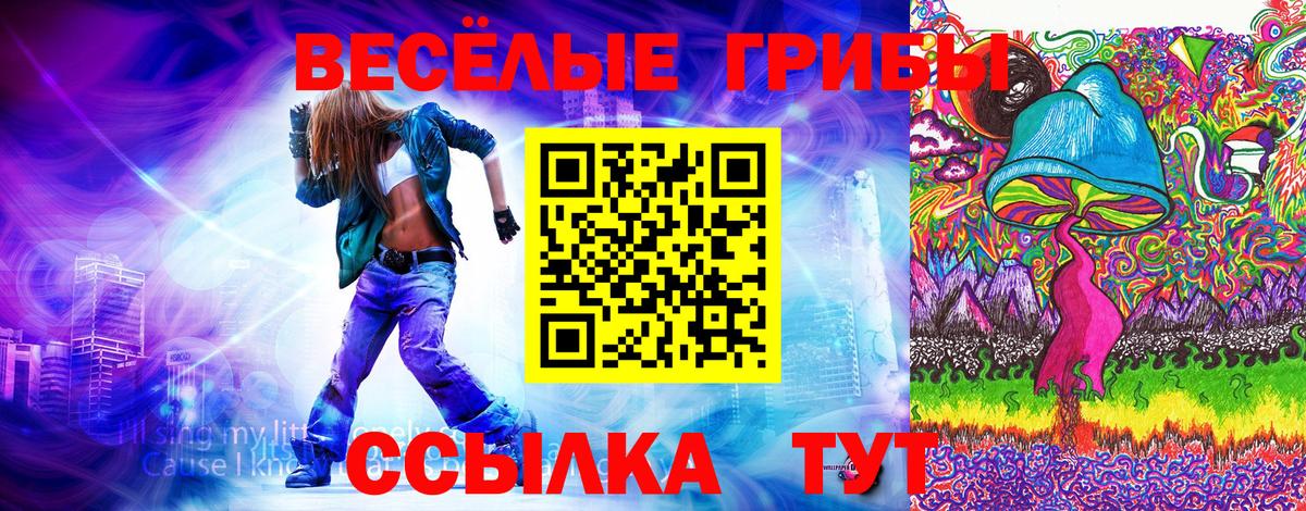 Псилоцибиновые грибы Cubensis Мелеуз